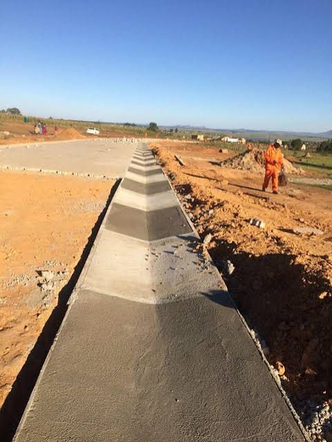Mango chili lime sorbet with tropical fruits