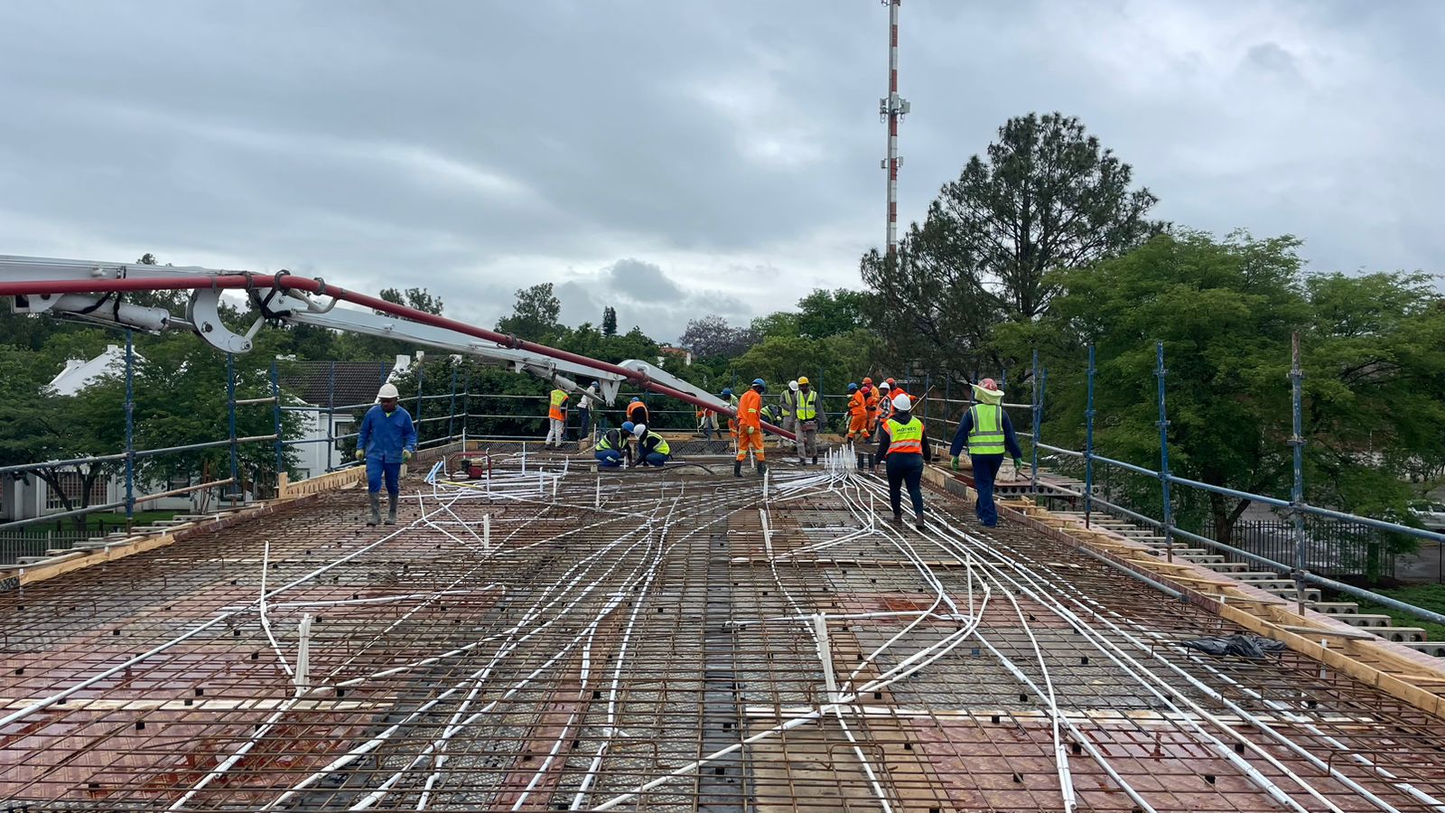 Cherry blossom almond gelato with petals